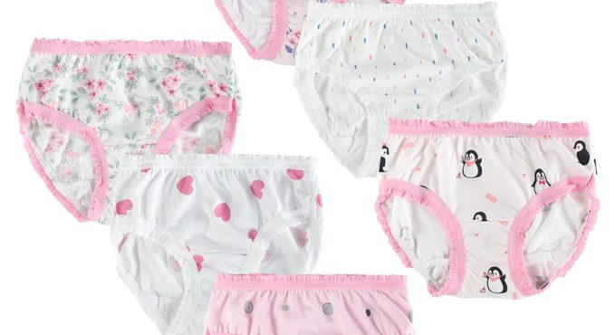 6Pcs/Lot Cotton Baby Girls Briefs Teenage Panties for Girls Kids Briefs Shorts Girls Underwear Children Underpants Clothes