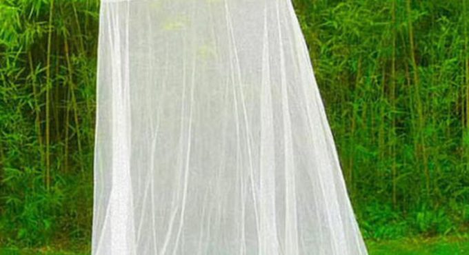 2 Colors Elegant Round Lace Insect Bed Canopy Netting Curtain Dome Mosquito Net New House Bedding Summer High Quality